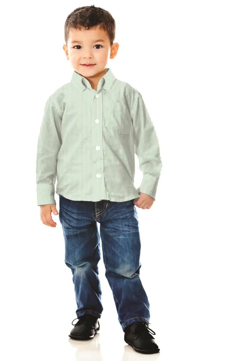 Poplin Stripe paars
