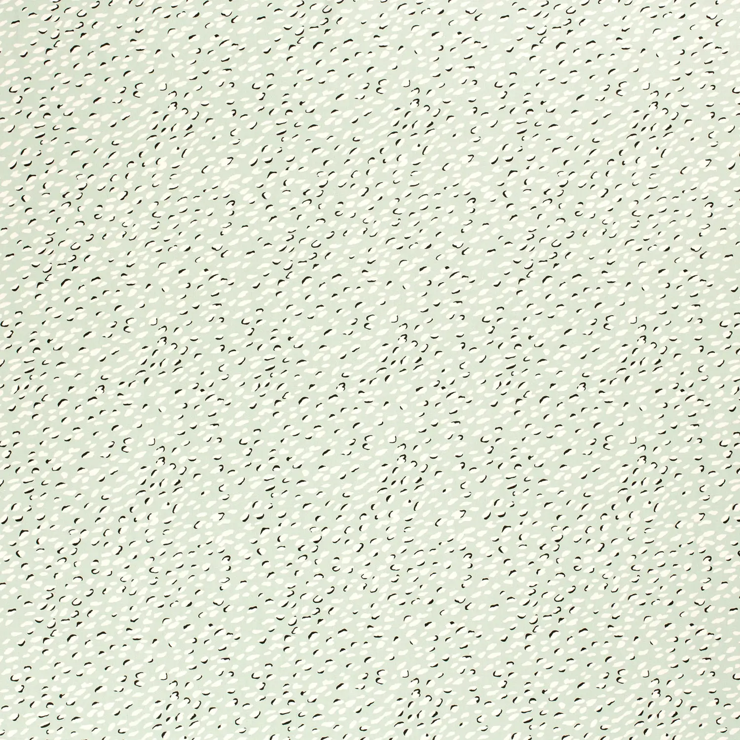 Bamboo Poplin Spots mint